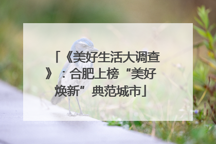 《美好生活大调查》：合肥上榜“美好焕新”典范城市