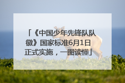 《中国少年先锋队队徽》国家标准6月1日正式实施，一图读懂