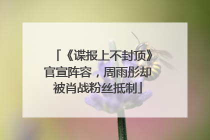 《谍报上不封顶》官宣阵容，周雨彤却被肖战粉丝抵制