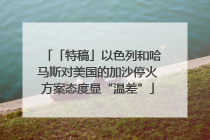「特稿」以色列和哈马斯对美国的加沙停火方案态度显“温差”