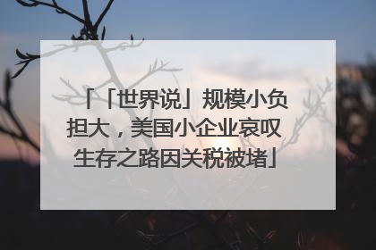 「世界说」规模小负担大，美国小企业哀叹生存之路因关税被堵