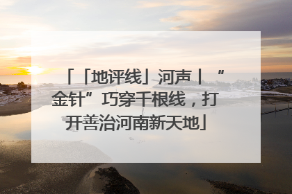 「地评线」河声丨“金针”巧穿千根线，打开善治河南新天地