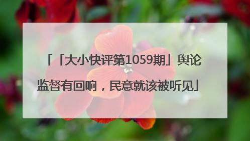 「大小快评第1059期」舆论监督有回响，民意就该被听见
