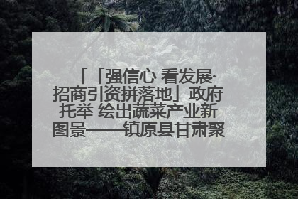「强信心 看发展·招商引资拼落地」政府托举 绘出蔬菜产业新图景——镇原县甘肃聚广利现代设施蔬菜种植基地见闻
