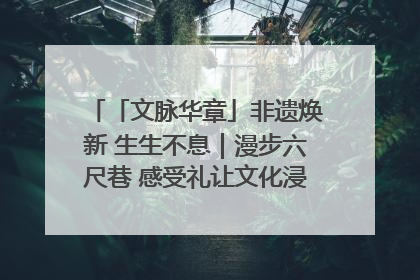 「文脉华章」非遗焕新 生生不息｜漫步六尺巷 感受礼让文化浸润的“巷”往生活