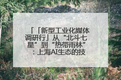 「新型工业化媒体调研行」从“北斗七星”到“热带雨林”：上海AI生态的技术商业共生密码