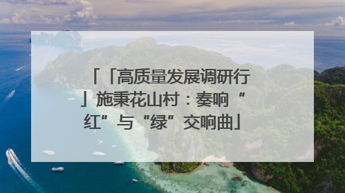 「高质量发展调研行」施秉花山村：奏响“红”与“绿”交响曲