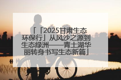 「2025甘肃生态环保行」从风沙之源到生态绿洲——青土湖华丽转身书写生态新篇