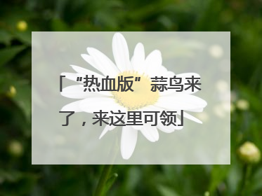 “热血版”蒜鸟来了，来这里可领
