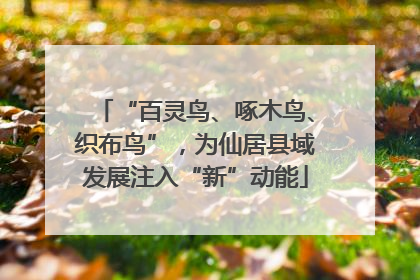 “百灵鸟、啄木鸟、织布鸟”，为仙居县域发展注入“新”动能