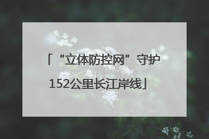 “立体防控网”守护152公里长江岸线