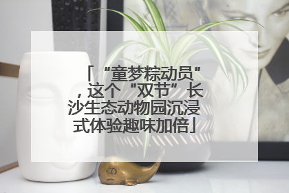“童梦粽动员”，这个“双节”长沙生态动物园沉浸式体验趣味加倍