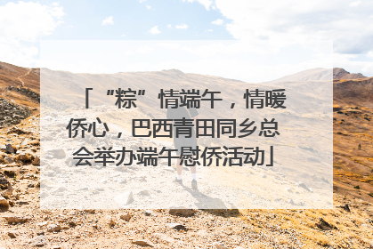 “粽”情端午，情暖侨心，巴西青田同乡总会举办端午慰侨活动