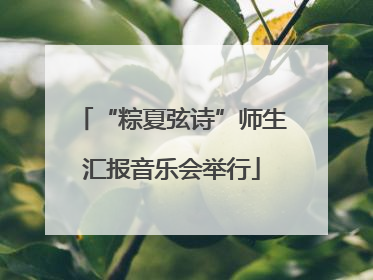 “粽夏弦诗”师生汇报音乐会举行