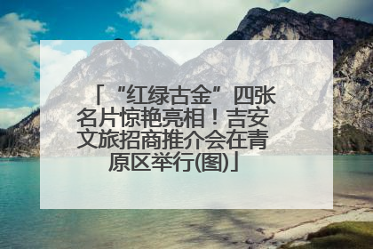“红绿古金”四张名片惊艳亮相！吉安文旅招商推介会在青原区举行(图)
