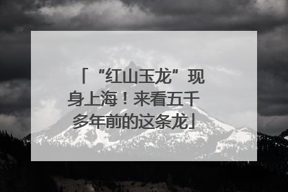 “红山玉龙”现身上海！来看五千多年前的这条龙