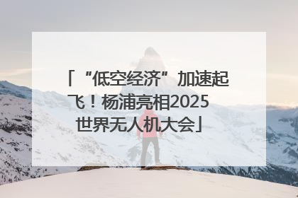 “低空经济”加速起飞！杨浦亮相2025世界无人机大会