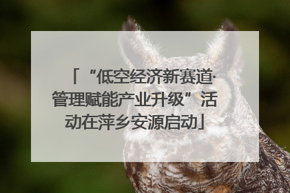 “低空经济新赛道·管理赋能产业升级”活动在萍乡安源启动