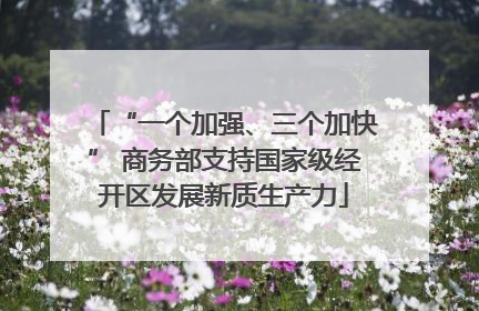 “一个加强、三个加快” 商务部支持国家级经开区发展新质生产力