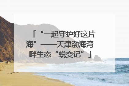 “一起守护好这片海”——天津渤海湾畔生态“蜕变记”