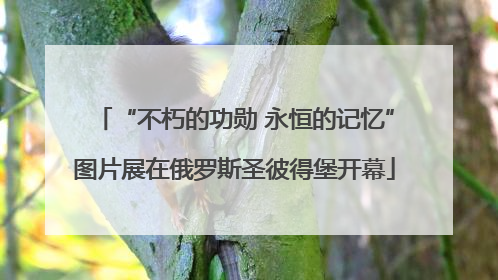 “不朽的功勋 永恒的记忆”图片展在俄罗斯圣彼得堡开幕