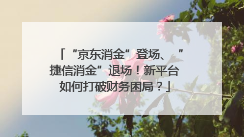 “京东消金”登场、“捷信消金”退场！新平台如何打破财务困局？