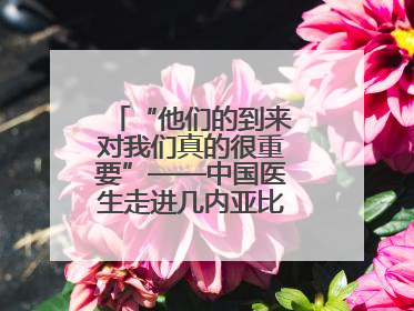 “他们的到来对我们真的很重要”——中国医生走进几内亚比绍校园义诊