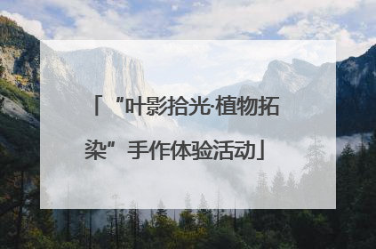“叶影拾光·植物拓染”手作体验活动
