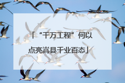 “千万工程”何以点亮嵩县千业百态