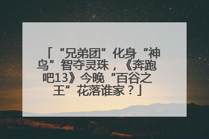 “兄弟团”化身“神鸟”智夺灵珠，《奔跑吧13》今晚“百谷之王”花落谁家？