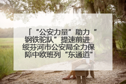 “公安力量”助力“钢铁驼队”提速前进 绥芬河市公安局全力保障中欧班列“东通道”绥芬河隧道贯通