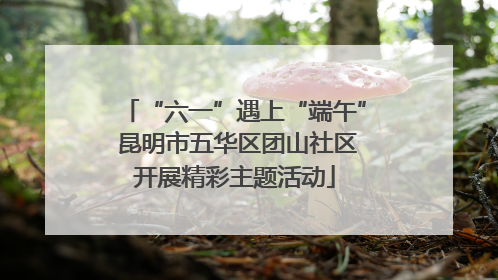 “六一”遇上“端午” 昆明市五华区团山社区开展精彩主题活动