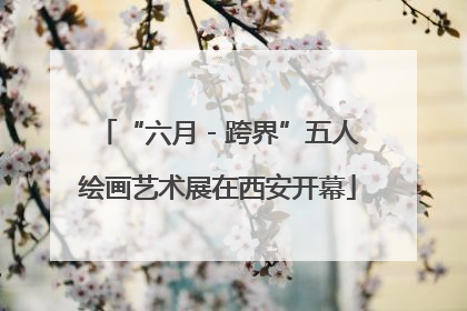 “六月 - 跨界”五人绘画艺术展在西安开幕