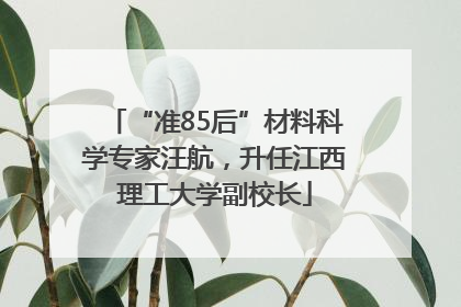 “准85后”材料科学专家汪航，升任江西理工大学副校长
