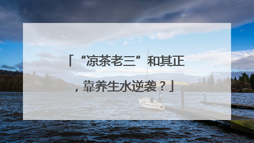 “凉茶老三”和其正，靠养生水逆袭？
