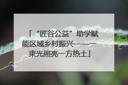 “匠谷公益”助学赋能区域乡村振兴——一束光照亮一方热土