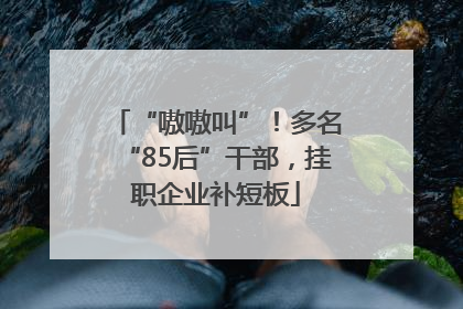 “嗷嗷叫”！多名“85后”干部，挂职企业补短板