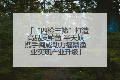 “四检三筛”打造高品质鲈鱼 半天妖携手闽威助力福鼎渔业实现产业升级