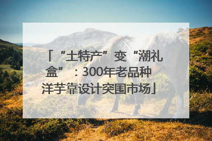 “土特产”变“潮礼盒”：300年老品种洋芋靠设计突围市场