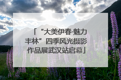 “大美伊春·魅力丰林”四季风光摄影作品展武汉站启幕