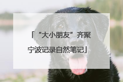 “大小朋友”齐聚宁波记录自然笔记