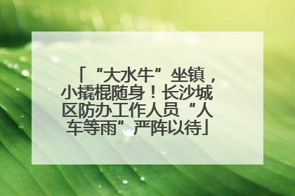 “大水牛”坐镇，小撬棍随身！长沙城区防办工作人员“人车等雨”严阵以待