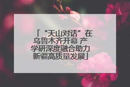 “天山对话”在乌鲁木齐开幕 产学研深度融合助力新疆高质量发展