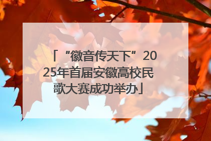 “徽音传天下”2025年首届安徽高校民歌大赛成功举办
