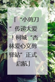 “小剪刀”传递大爱！柯城“杏林爱心义剪驿站”正式启航