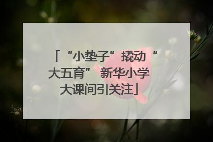 “小垫子”撬动“大五育” 新华小学大课间引关注
