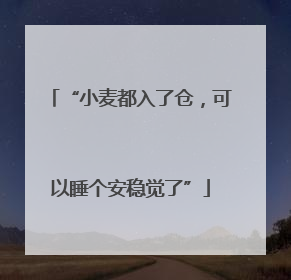“小麦都入了仓，可以睡个安稳觉了”