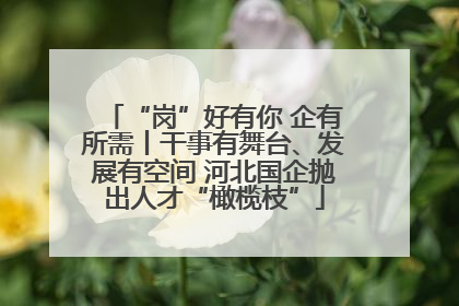 “岗”好有你 企有所需丨干事有舞台、发展有空间 河北国企抛出人才“橄榄枝”