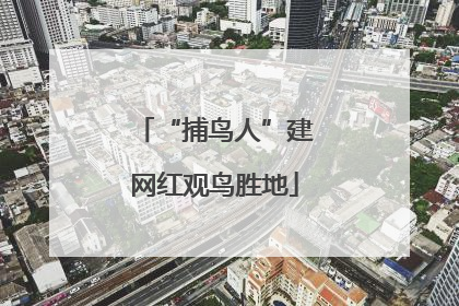 “捕鸟人”建网红观鸟胜地