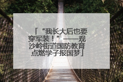 “我长大后也要穿军装！”——观沙岭街道国防教育点燃学子报国梦